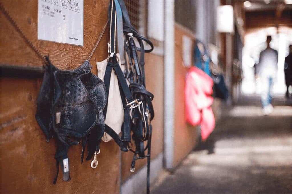 JRA調教師試験に四位洋文騎手ら8人が合格