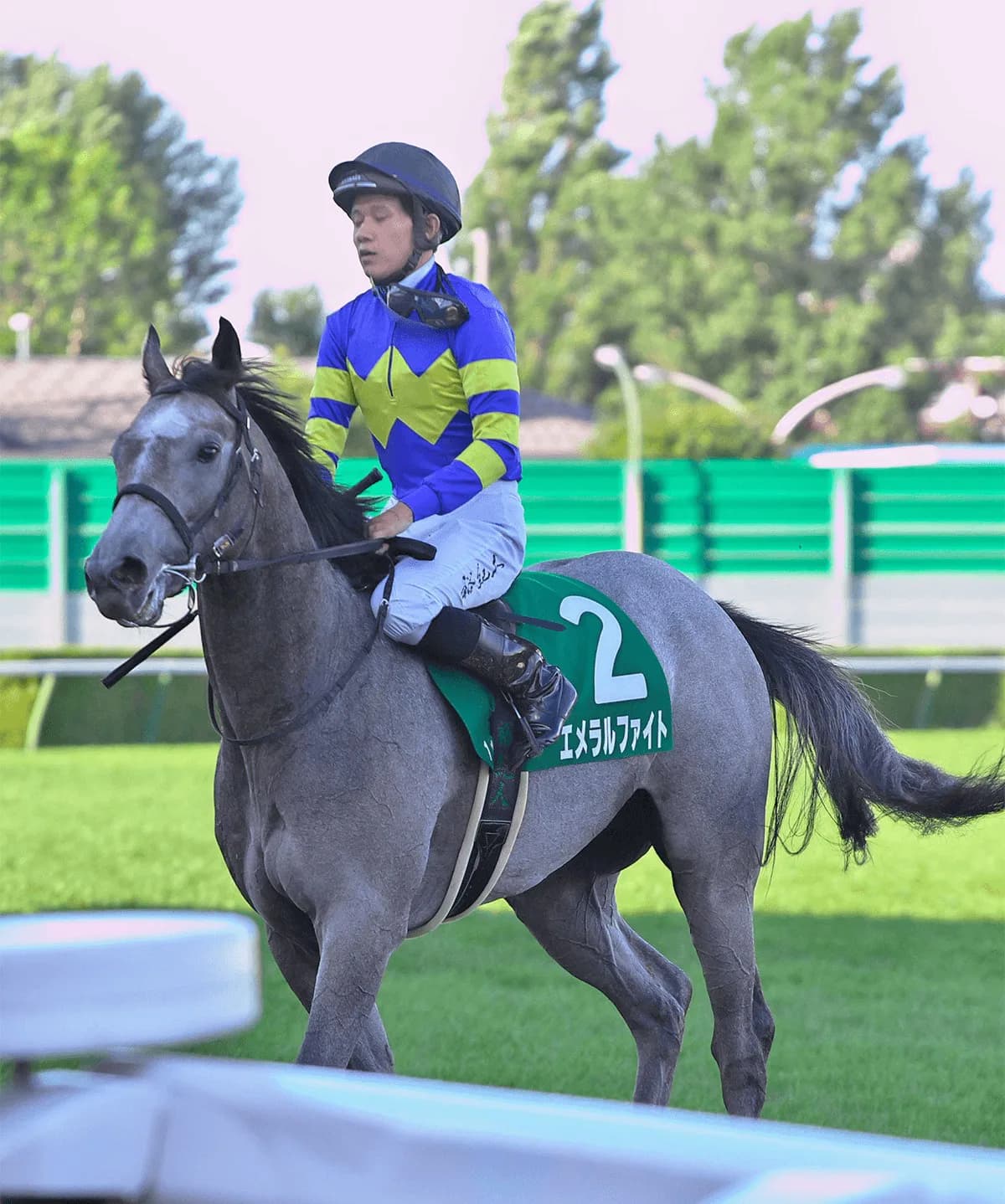 【ダービー卿チャレンジ2021予想】前走急に復活を魅せたエメラルファイトが重賞勝利の中山で重賞2勝目を!