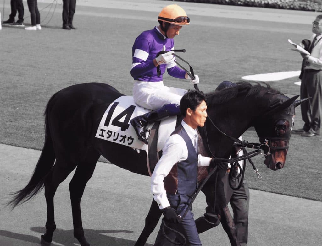 【有馬記念2019予想】大駆け狙いたい穴馬!人気急落のエタリオウ