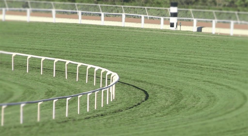 朝日杯FS(2019)当日の馬場は?先週の馬場傾向を距離別のデータで分析予想