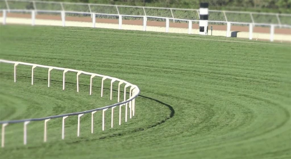 朝日杯FS(2019)当日の馬場は?先週の馬場傾向を距離別のデータで分析予想