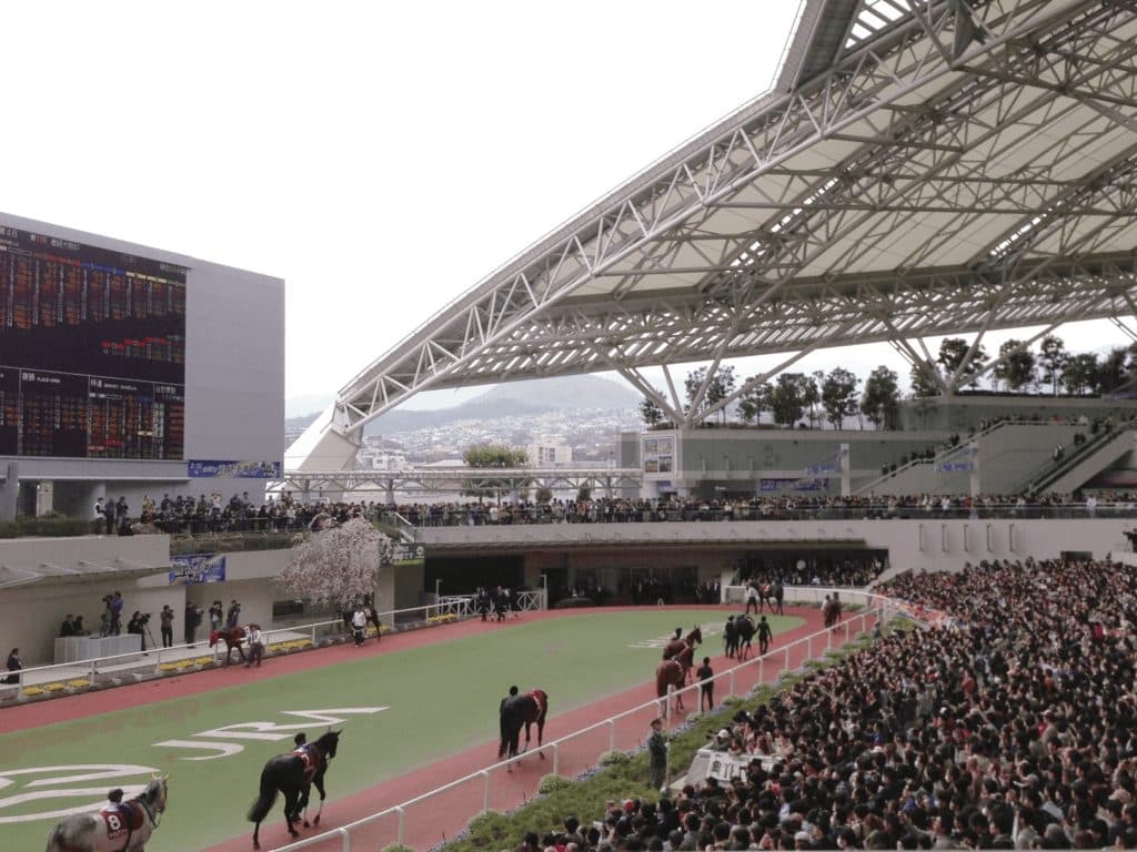 【鳴尾記念2020予想】宝塚記念の前哨戦!ラヴズオンリーユーやサトノルークスなど出走予定馬を考察