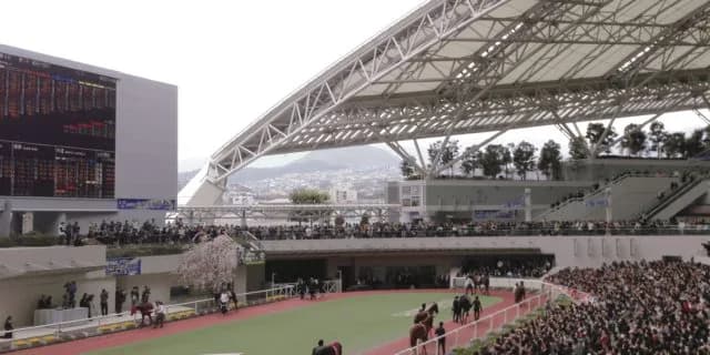 【秋華賞2022予想】“阪神2000m”の適性が高い2頭とは?