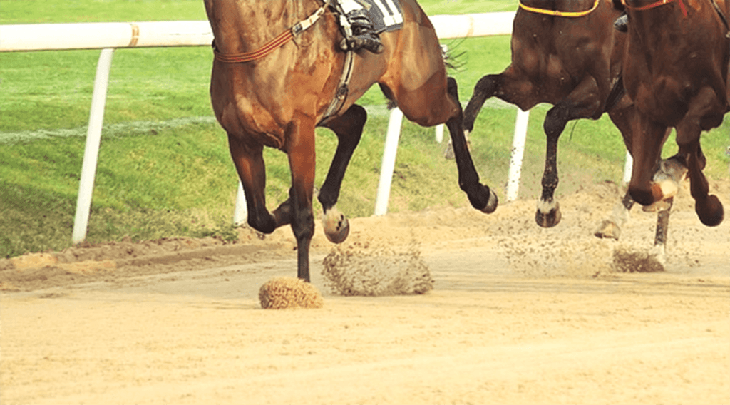 【阪神JF予想2019】最終追い切り・調教内容が高評価の馬トップ3は?