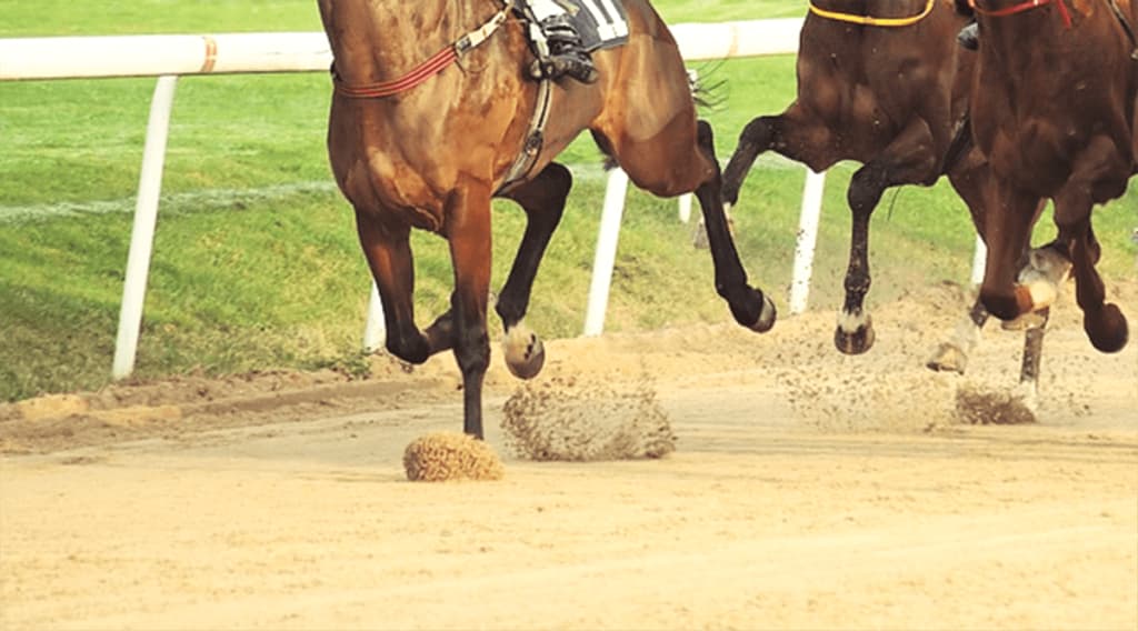 【阪神JF予想2019】最終追い切り・調教内容が高評価の馬トップ3は?