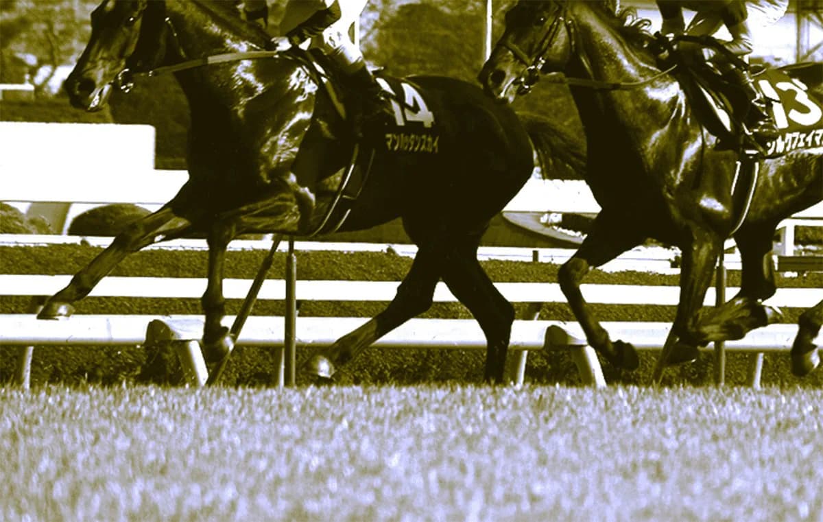 【千両賞2019予想】多彩な勝ち馬が魅力の出世レース、昨年に続き波乱となるか?