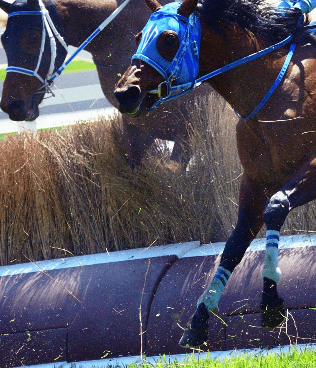 【中山大障害2019予想】令和初の障害G1競走、新興勢力の台頭なるか?