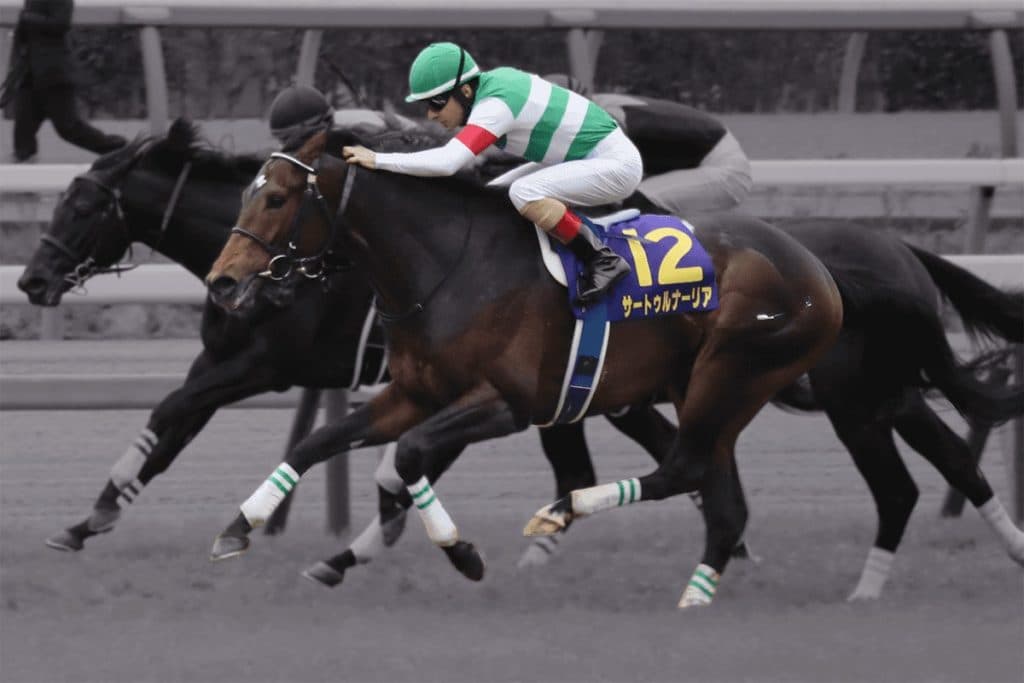 JRAサートゥルナーリア、次走は天皇賞秋