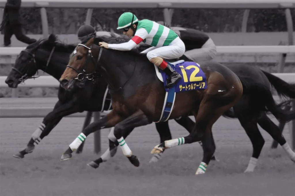 JRAサートゥルナーリア、次走は天皇賞秋