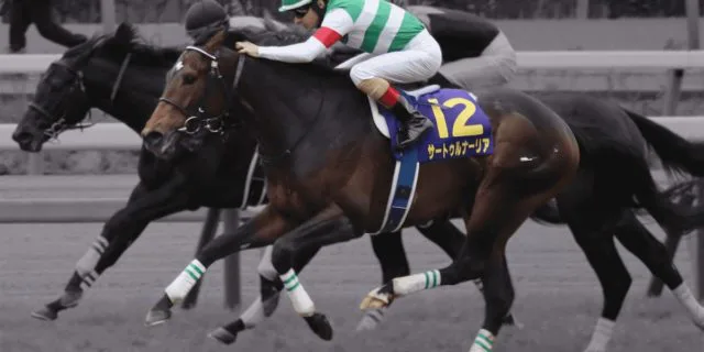 JRAサートゥルナーリア、次走は天皇賞秋