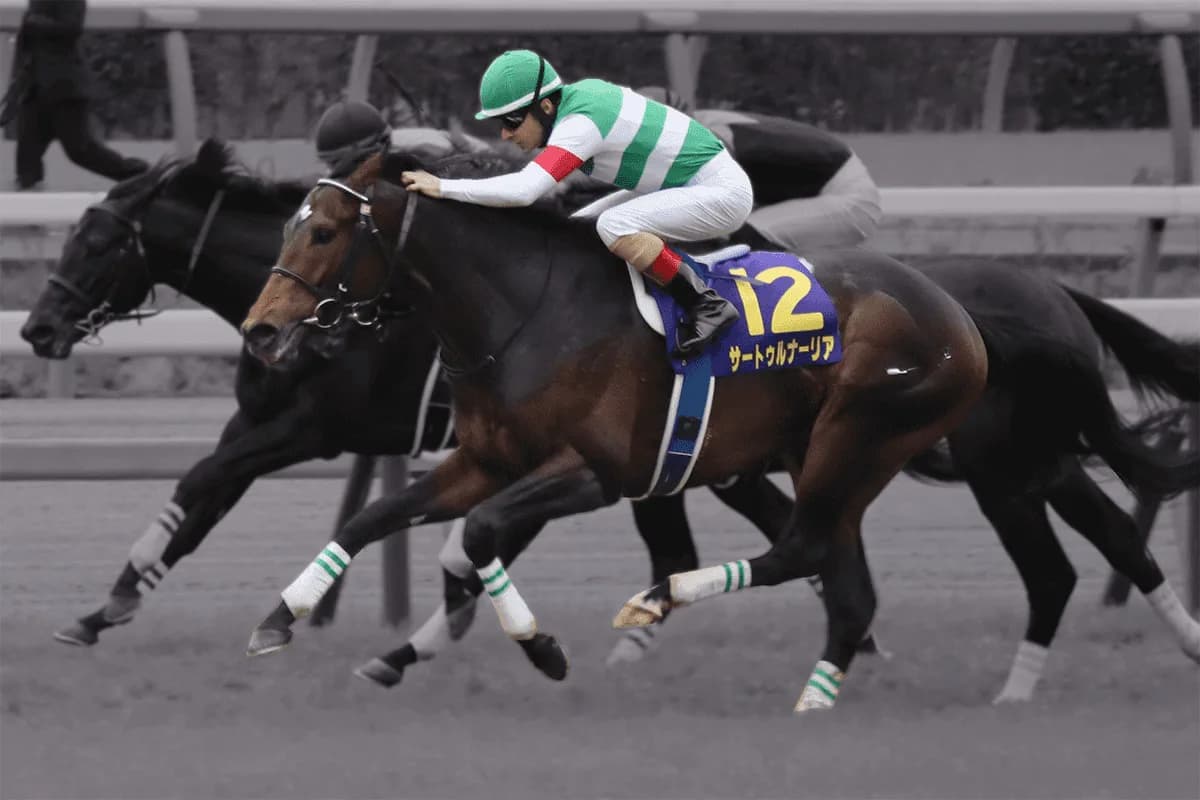 【有馬記念2019予想】中山ならサートゥルナーリア