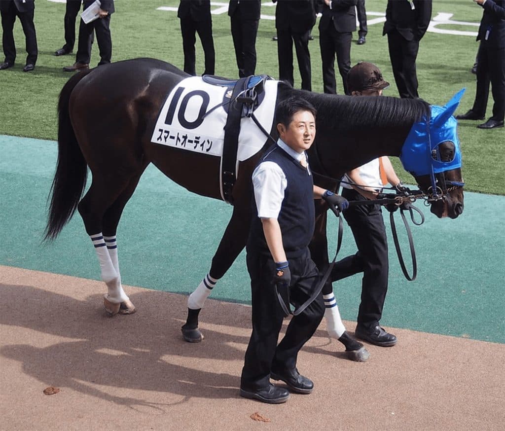 【阪神カップ2019予想】阪神巧者スマートオーディン、豪脚一閃に期待