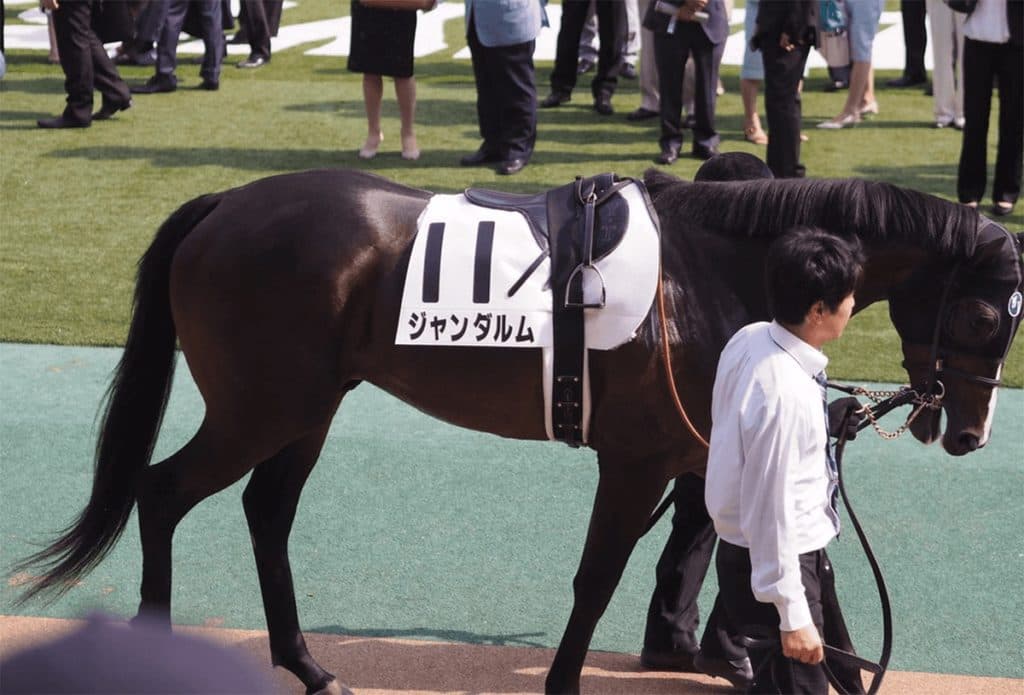 【JRA】ジャンダルムが急死、左トモ脚の大腿骨骨折発症し予後不良