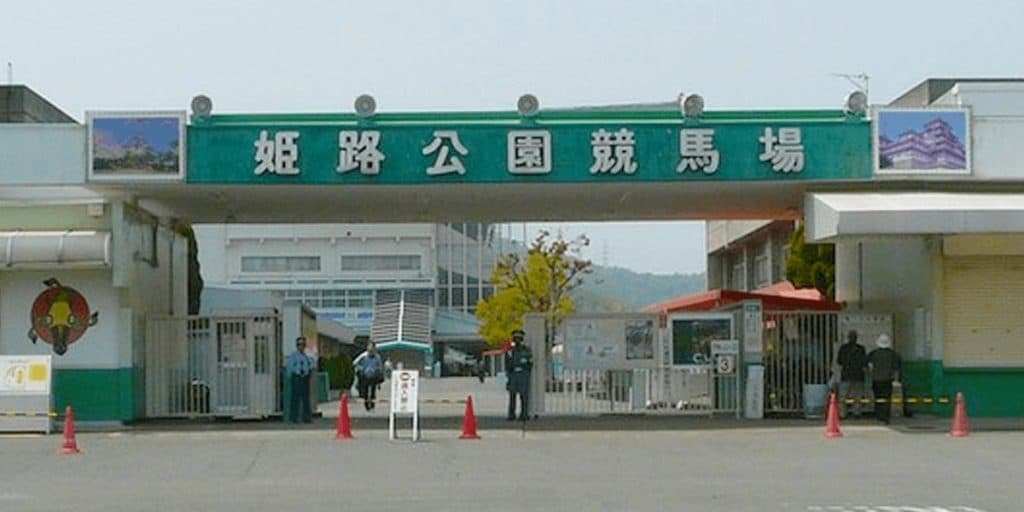 【白鷺賞2024予想】地元勢VS高知勢のハイレベルな対決か