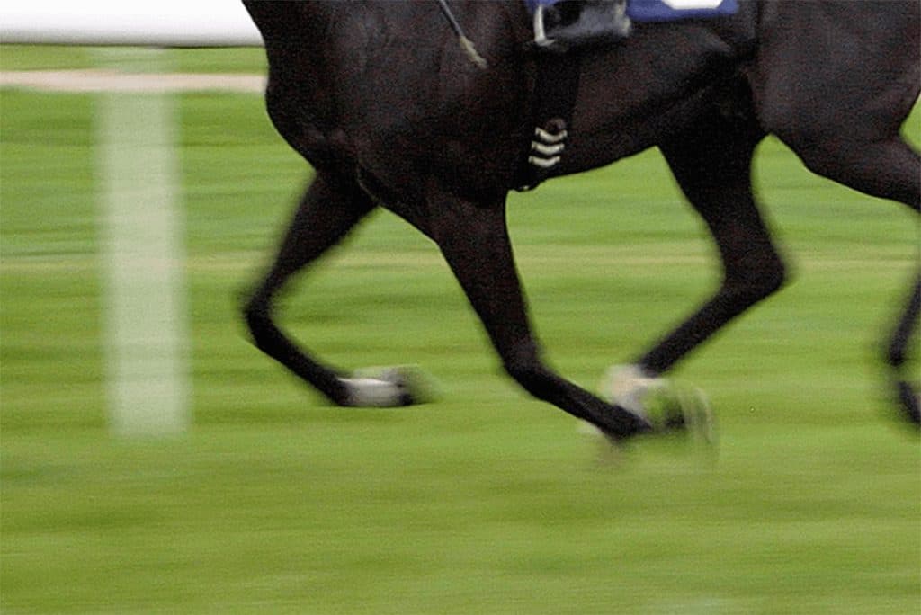 【甲東特別2020予想】2戦2勝の3歳馬スペードエース、古馬に挑む復帰初戦