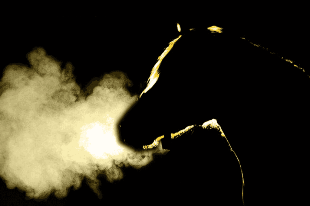 【東京新聞杯2020予想】ヴァンドギャルド、満を持して再度重賞戦線へ