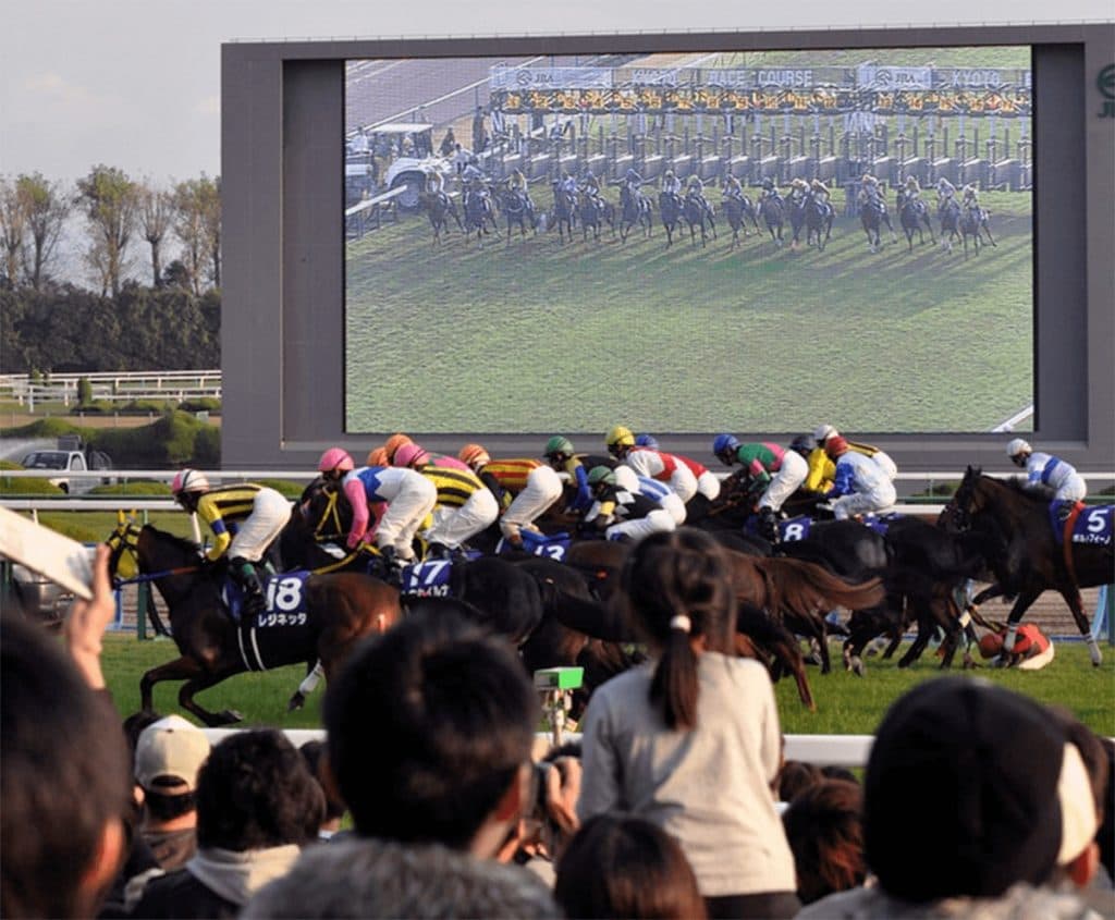 【金沢競馬】単勝524倍の大逆転!ルビーライトが初白星で配当レコード樹立