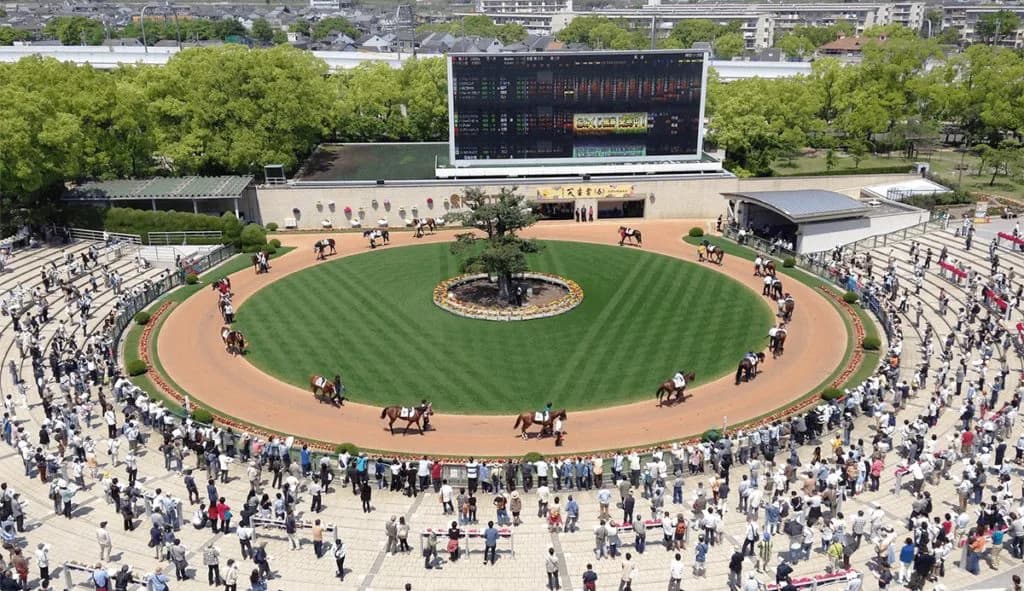 【シルクロードS予想2020】最終追い切り・調教内容が高評価の馬トップ3は?