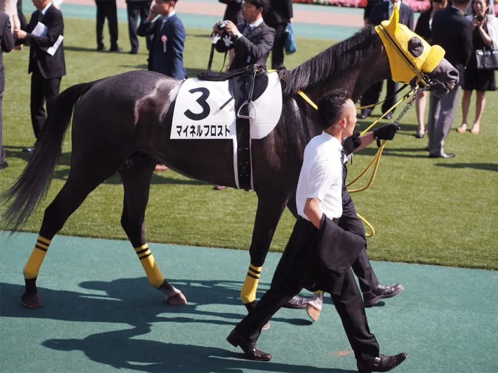 マイネルフロスト、骨折で予後不良