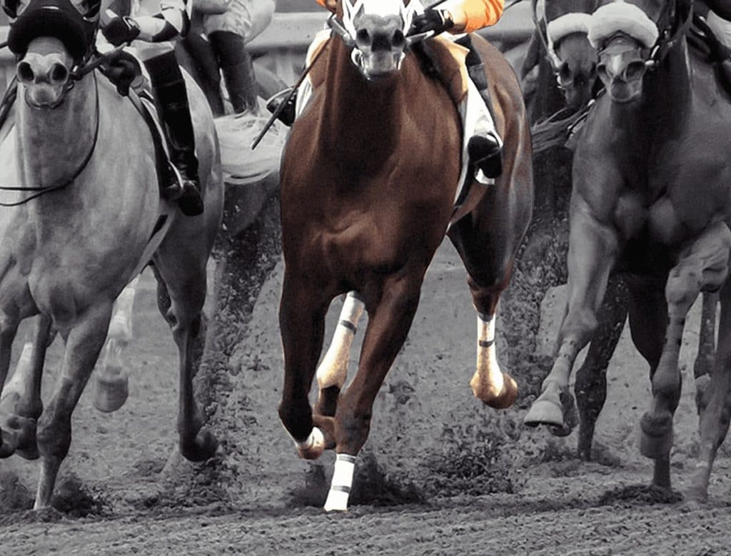 【根岸ステークス予想】名馬を多数輩出しているダート界の登竜門、2025年の覇者に輝くのはどの馬だ!?