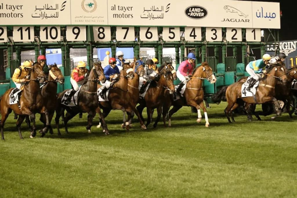 【ドバイワールドカップ2025予想】世界最高峰のダートレース!フォーエバーヤングやインペリアルエンペラーなど出走予定馬を考察