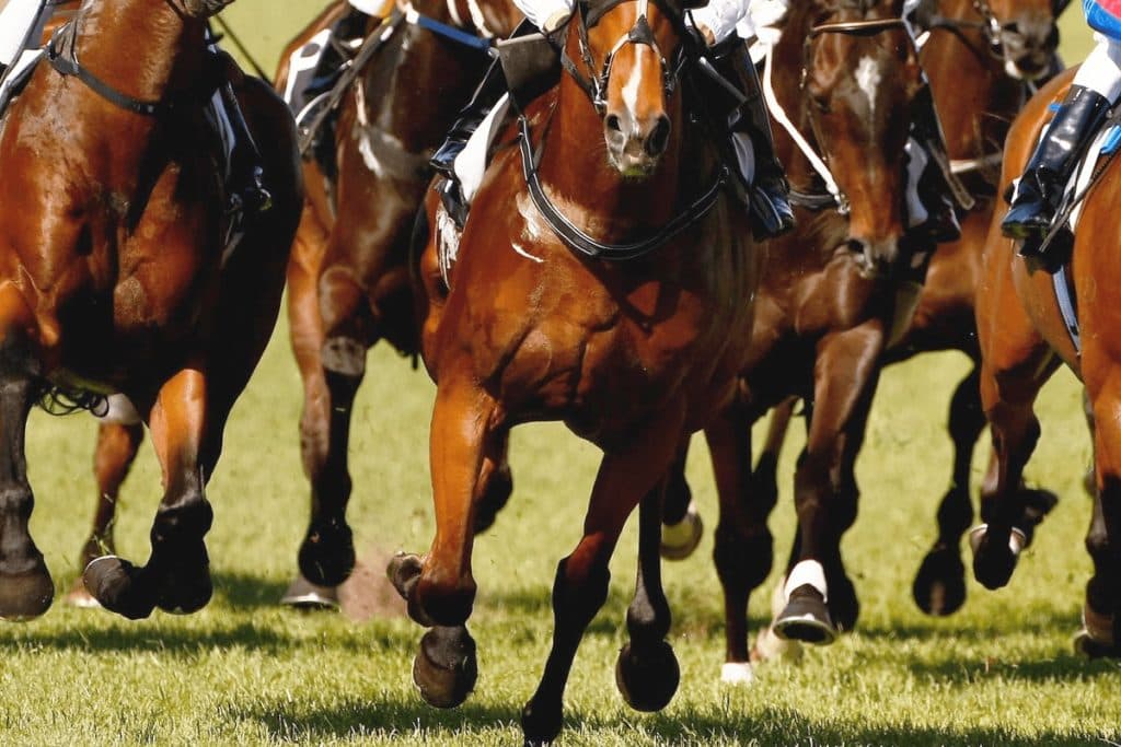 【天皇賞秋2022予想】ダノンベルーガ“位置取り”がカギ