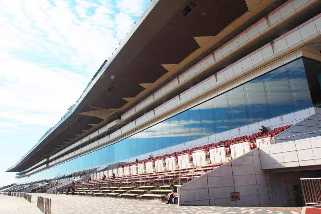 【JRAホープフルステークス予想2024】暮れの2歳王者決定戦!クロワデュノールやマスカレードボールなど出走予定馬を考察