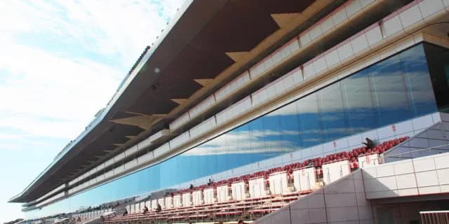 【アメリカジョッキークラブカップ予想2024】実績馬の始動戦!ボッケリーニやマイネルウィルトスなど出走予定馬を考察