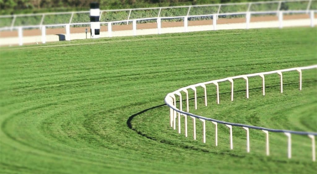 東京は前残り?JRA共同通信杯(2020)当日の馬場は?馬場傾向を距離別データで分析・予想