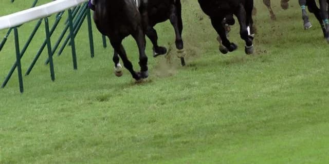 【ラジオNIKKEI賞(G3)2021】人馬共に初重賞制覇を目指す!