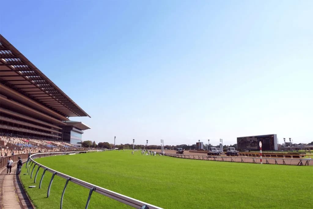 【安田記念回顧】中距離適性を問われたマイルG1