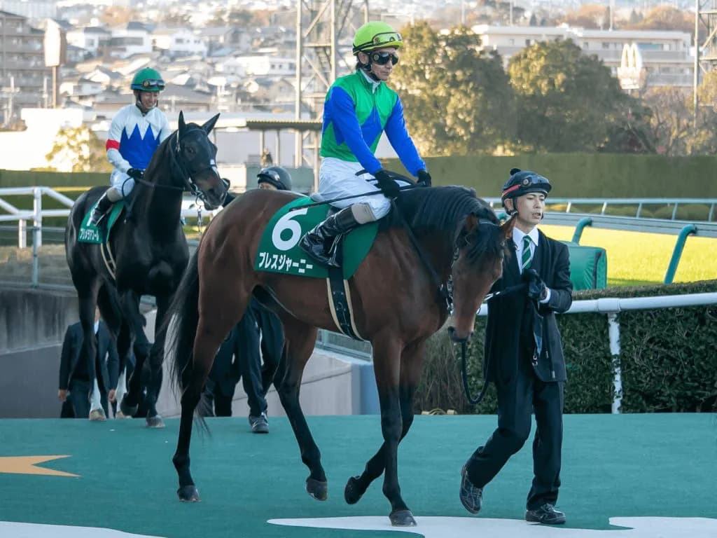 【金鯱賞2020予想】ブレスジャーニー、復活期待!