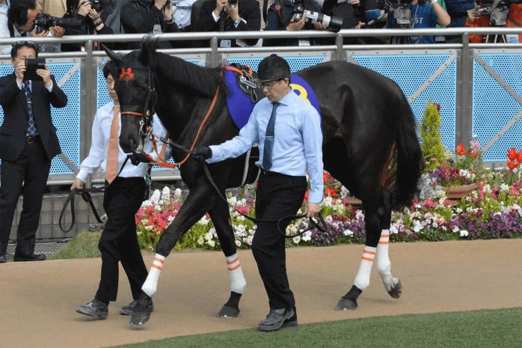 夢は次世代に、ファンディーナ初仔誕生