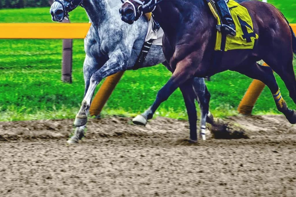 【マイルチャンピオンシップ2025予想】最終追い切り・調教内容が高評価の馬トップ3は?