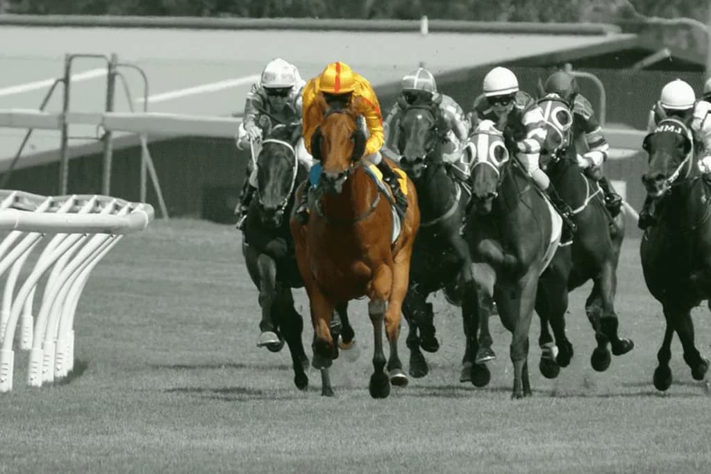 【JRA京都記念2025予想】妙味ある穴馬マコトヴェリーキー、最も得意とする2200m戦なら巻き返し濃厚だ