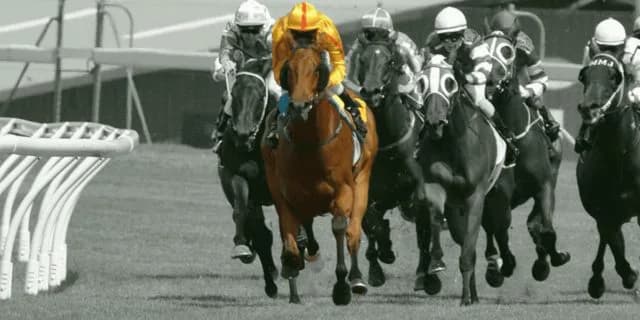 【マイルCS予想2023】今年もリピーターが来る?セリフォス、ソウルラッシュ、シュネルマイスター、表彰を受けるのはどの馬か