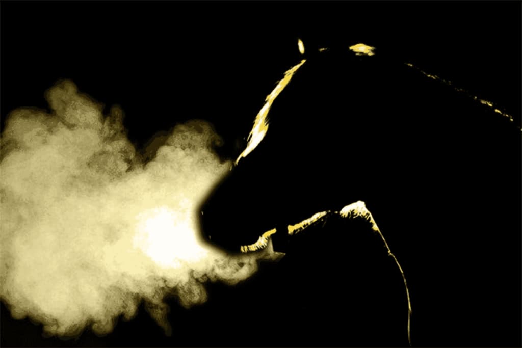 JRA朝日杯FS(2021)は“適性の高さ”と“状態面”をより重要視!