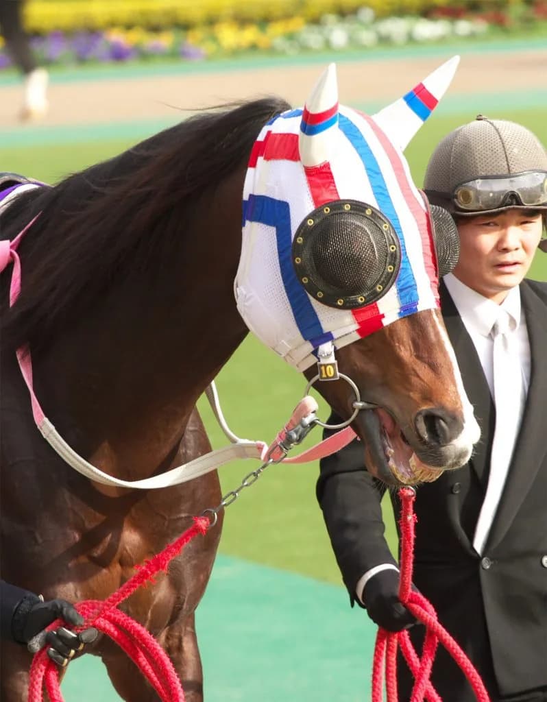 ワンダーアキュートの初年度産駒、JRA初勝利を達成