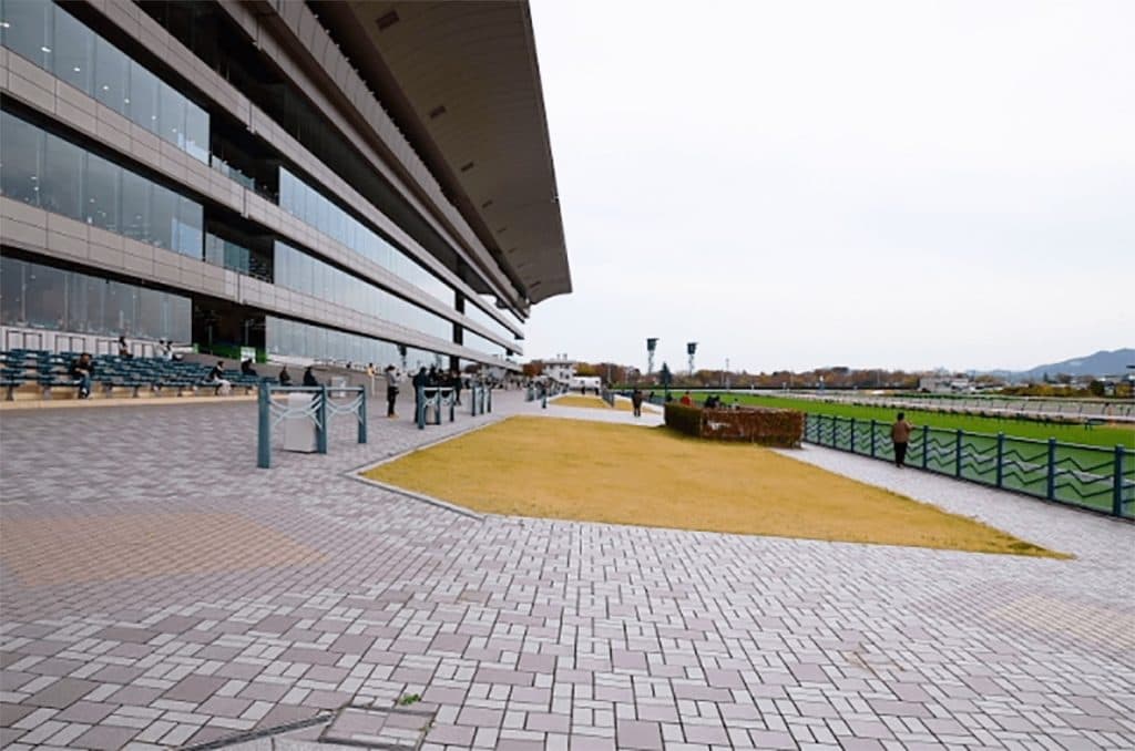 【ラジオNIKKEI賞2025予想】3歳初のハンデ重賞!トレサフィールやフクノブルーレイクなど出走予定馬を考察