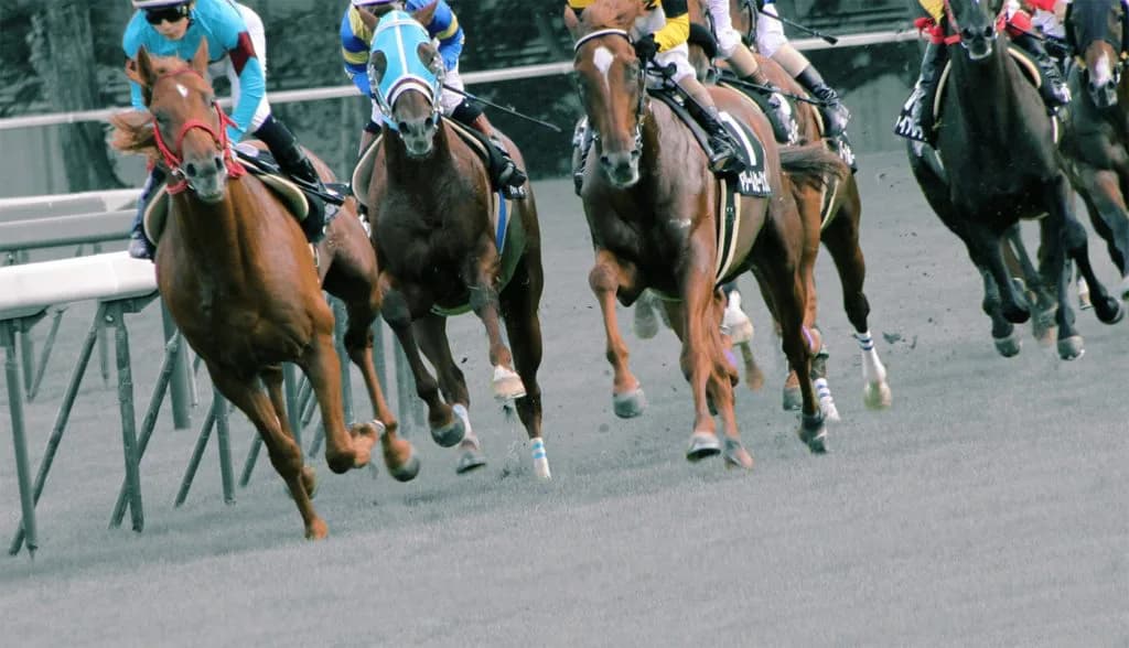 【キーンランドカップ2021予想】上積み大のヒロイックアゲン、秋山稔樹騎手と人馬共の初重賞制覇へ!