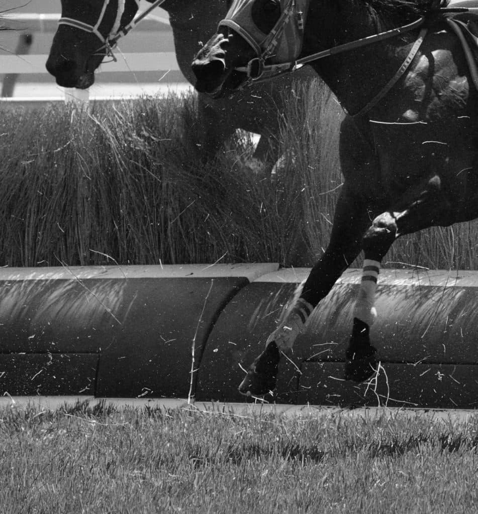 JRA賞最優秀障害馬シングンマイケル、転倒死