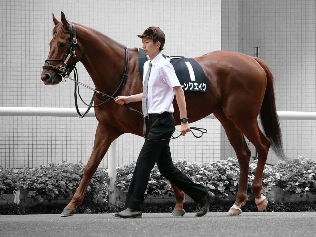 【ダービー卿チャレンジT予想2020】復調気配のムーンクエイク、軽ハンデで好機