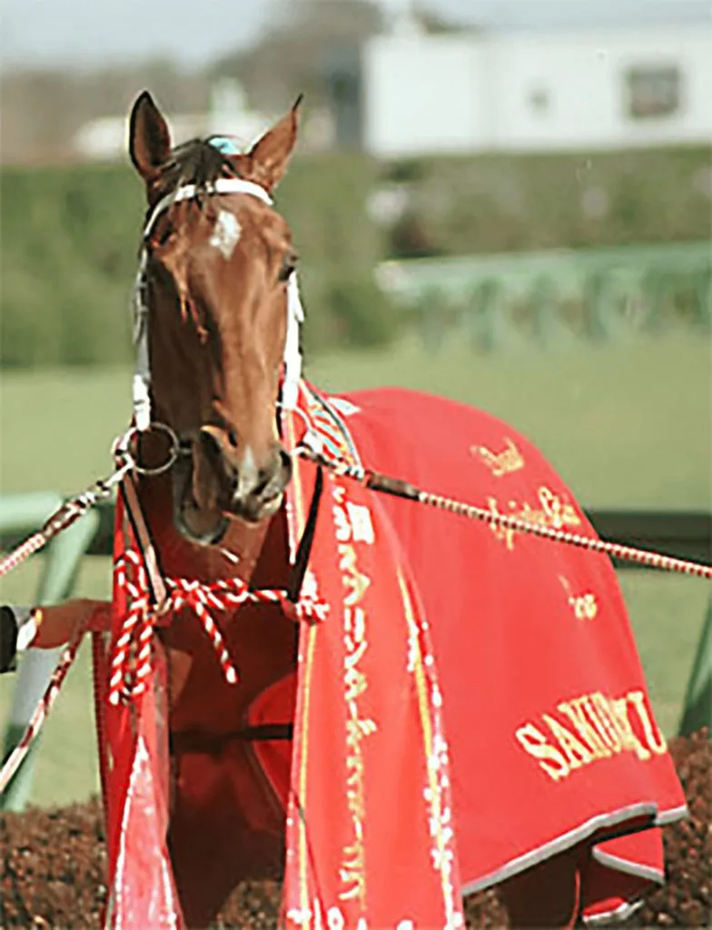 サクラバクシンオー直系を後世につなぐ希望の星、ビッグアーサー日高で大人気