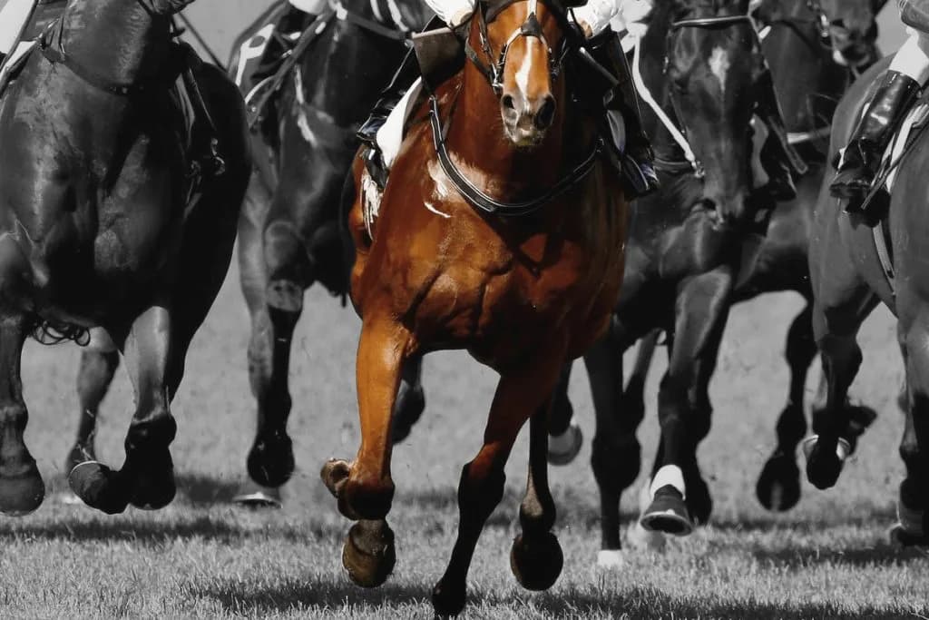 【JRAスプリンターズS予想2025】波乱の可能性大、データから浮上した4頭の正体は?