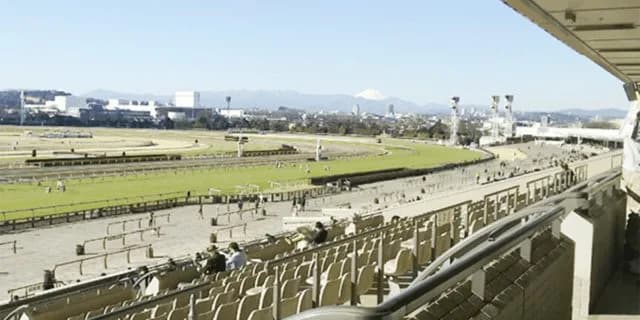 JRA、東京開催で15日から有観客競馬を再開