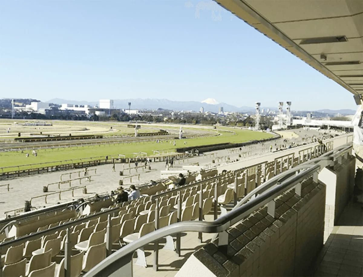 JRA、6月も無観客継続を発表