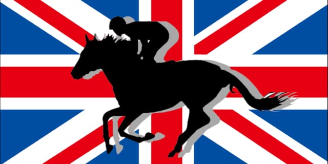 【インターナショナルS2024】菊花賞馬ドゥレッツァなど、16頭の出走予定馬が発表