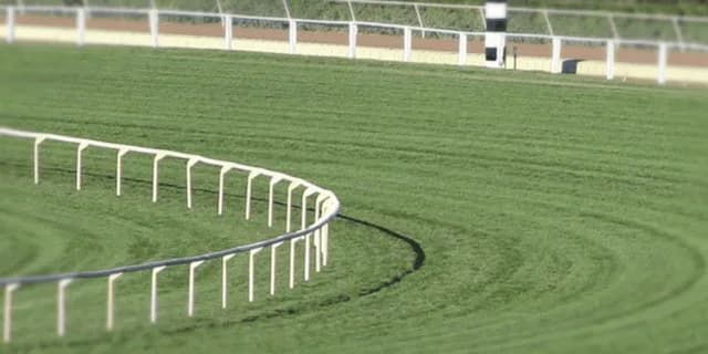 【ダービー卿チャレンジT予想】“コース実績”を最重要視!狙い目の穴馬とは?