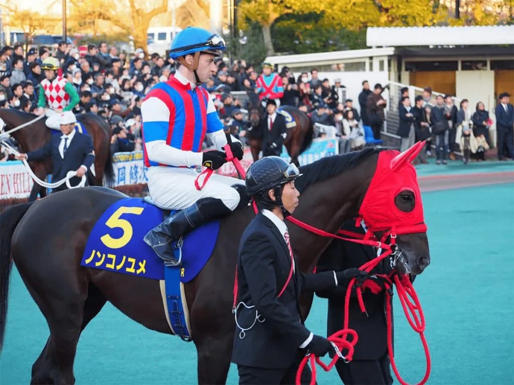 JRA・地方のダート戦線を盛り上げた10歳馬ノンコノユメが現役引退