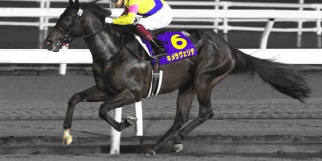 【ラジオNIKKEI賞2020】キメラヴェリテ回避、態勢整わず